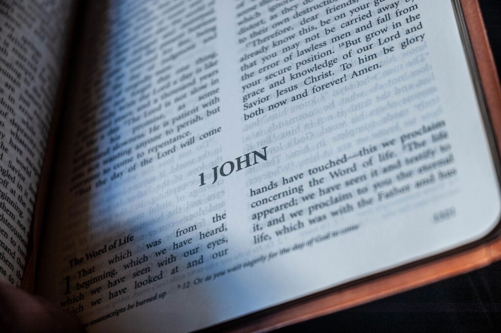 book of john text